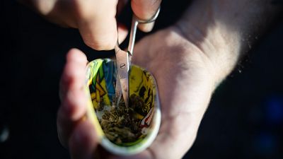 Aumenta el consumo de drogas en el mundo Aumenta el consumo de drogas en el mundo