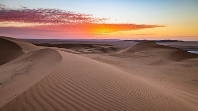 ¿A qué hora y cómo puedes seguir el Dakar 2023?