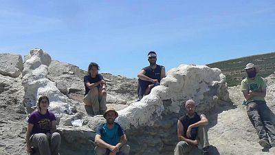 Un equipo de paleontólogos recupera una columna vertebral de un dinosaurio gigante en Teruel