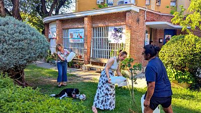 Reverdeciendo jardines: refugios climáticos de barrio creado - Informativo 24h | Ver