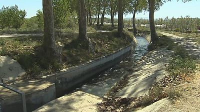 Els regants del Canal d'Urgell estimen pèrdues milionàries pel tancament del reg