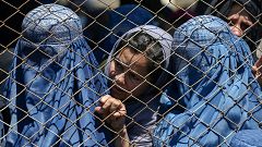 Vuelta del régimen talibán, vuelta de las mujeres afganas a la "cárcel" de partida
