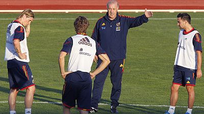 El seleccionador español Vicente del Bosque ha asegurado que Villa se retiró del entrenamiento de este miércoles solo por precacución y cree que "no tendrá problemas en entrenar hoy y jugar mañana".
