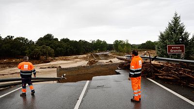 Así fue el rescate de Ethan, el niño de 10 años que sobrevivió una noche subido a un árbol:  "Aguantó como un valiente"