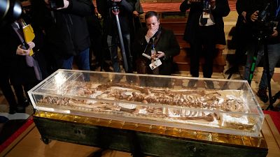 Los restos de San Francisco de Asís se exponen al público por primera vez en la historia