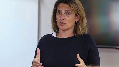 Ribera recuerda en una carta a Moreno las advertencias de la Comisión contra la regularización de regadíos en Doñana