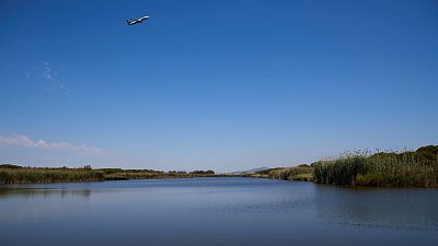 ¿Qué es La Ricarda, la laguna amenazada por la ampliación del aeropuerto de El Prat?