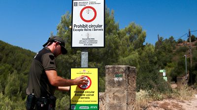 Agente rural ajusta señal de prohibición de circulación en camino forestal, advirtiendo de peligro extremo de incendio forestal y nivel 3 activado. Agente rural ajusta señal de prohibición de circulación en camino forestal, advirtiendo de peligro extremo de incendio forestal y nivel 3 activado.