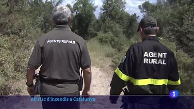 Alt risc d'incendis a Catalunya: el potencial dels focs podria ser de 500 hectàrees Alt risc d'incendis a Catalunya: el potencial dels focs podria ser de 500 hectàrees