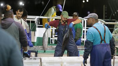 Uno de cada cinco trabajadores ganó en 2021 como mucho el salario mínimo y dos de cada tres menos de 1.910 euros