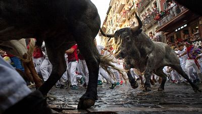 Ganadería del sexto encierro de San Fermín 2025: José Escolar y sus espectaculares cárdenos