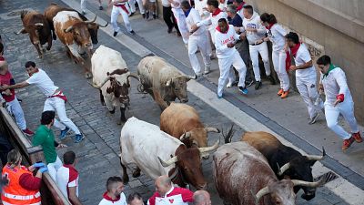 Toros del cuarto encierro de San Fermín 2026: el regreso de los toros de Álvaro Núñez