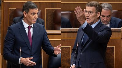 Sánchez acepta reunirse con Feijóo en el Congreso pero ve "inédito" que no sea en Moncloa: "Para usted la perra gorda"