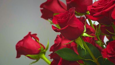 El gremi de floristes preveu vendre 7 milions de roses durant la jornada El gremi de floristes preveu vendre 7 milions de roses durant la jornada