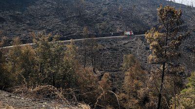 El sector turístico se resiente en las zonas afectadas por los incendios: "Va a seguir habiendo cancelaciones"
