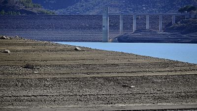 La falta de lluvias pone contra las cuerdas a agricultores y ganaderos