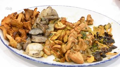 Boletus, níscalos o trompetas amarillas: tipos de setas y cómo cocinarlas