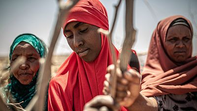 Somalia, epicentro del hambre: "El sonido más insoportable es el llanto de una mujer que acaba de perder a un hijo" Somalia, epicentro del hambre: "El sonido más insoportable es el llanto de una mujer que acaba de perder a un hijo"