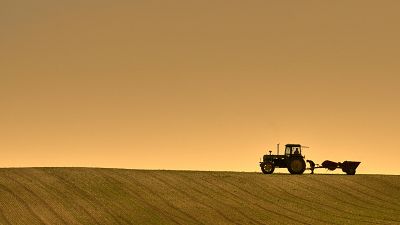 Dos agricultores trabajan en el campo en la provincia de Albacete Dos agricultores trabajan en el campo en la provincia de Albacete