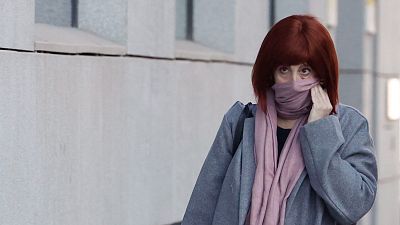 La exmujer de Koldo admite que recibió dinero en "efectivo" del PSOE de gastos, pero siempre con "justificación"