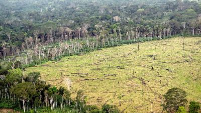 Suspenso en acción climática: "El planeta nos está avisando de que hay problemas y no debemos ignorarlos"