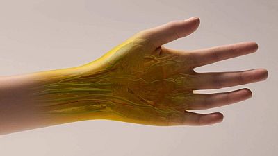 Un colorante alimentario convierte en transparente la piel de ratones | Ver Un colorante alimentario convierte en transparente la piel de ratones | Ver