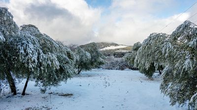 El tiempo de este domingo 25 de enero: temporal marítimo en el Cantábrico y nevadas en los Pirineos