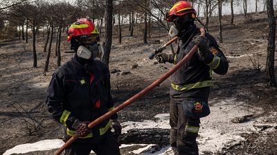Bomberos enfrían un área de superficie quemada por el incendio de Colmenar Viejo (Madrid)