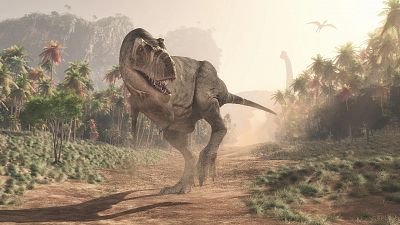 El tiranosaurio rex caminaba más lento que un ser humano