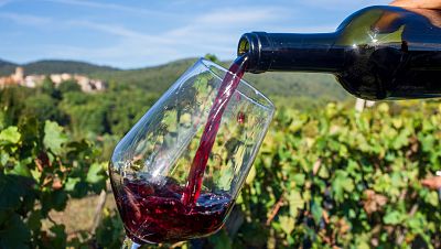 ¿A qué temperatura se debe tomar el vino en verano?