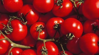 Lo que no sabías del tomate: Se creyó que era venenoso y mataba a quien lo consumía
