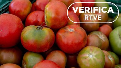 Tomates en un mercado en Boadilla del Monte (Madrid) de promoción de producto local con sello VerificaRTVE Tomates en un mercado en Boadilla del Monte (Madrid) de promoción de producto local con sello VerificaRTVE