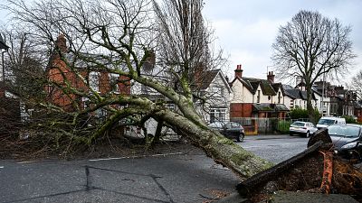 La tormenta Éowyn azota la isla de Irlanda con vientos huracanados y deja sin luz a casi un millón de usuarios