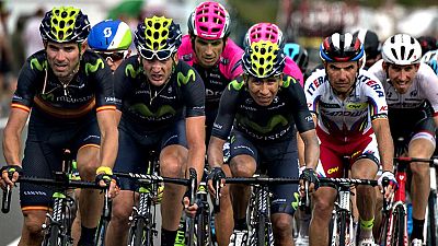 El alemán André Greipel logró hoy la victoria en la segunda etapa del Tour de Francia con meta en Zelanda, por delante del eslovaco Peter Sagan, mientras que el suizo Fabian Cancellara, tercero, se enfundó el maillot amarillo. El italiano Vincenzo Ni