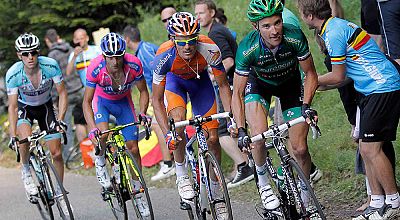 El ciclista español de Rabobank Luis León Sánchez admitió haber cometido un "error de cálculo" en el final de la décima etapa del Tour 2012, que finalmente se adjudicó el francés Voeckler.