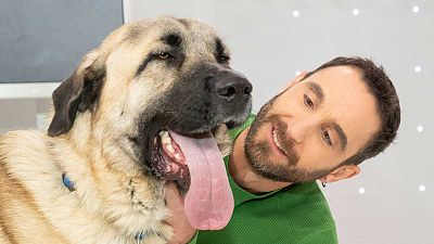 Dani Rovira recibe a Juan Gómez Jurado y Bárbara Montes en 'Un día de perros'