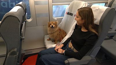 Los perros de hasta 40 kg podrán viajar con sus dueños en todos los trayectos de Renfe - La tarde en 24h Los perros de hasta 40 kg podrán viajar con sus dueños en todos los trayectos de Renfe - La tarde en 24h