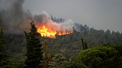 Tres grans incendis cremen simultàniament a Catalunya