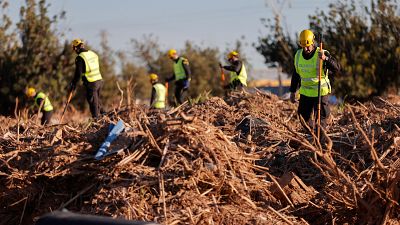 Tres meses después del paso la dana por Valencia: "Es un recuerdo de algo que no querías que hubiera pasado nunca"