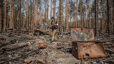 El rastro de la guerra en un bosque de Kiev | Ver El rastro de la guerra en un bosque de Kiev | Ver