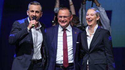 El auge de la ultraderecha en Europa: ¿qué vendrá después del triunfo de AfD en Sajonia-Anhalt? El auge de la ultraderecha en Europa: ¿qué vendrá después del triunfo de AfD en Sajonia-Anhalt?