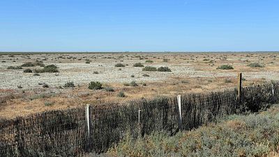 La Unesco advierte que la ley de Doñana de la Junta "amenaza" su estatus de Patrimonio de la Humanidad