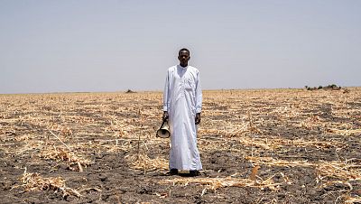 Vacunar con los ojos vendados o cómo trabajar sin mapas en Chad