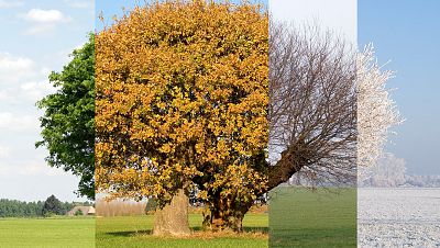 Hasta 30 días más de verano en España que en los años 90 - Telediario 1 | Ver