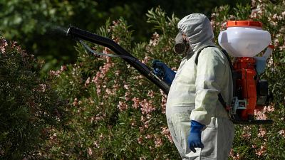 Por qué el virus del Nilo preocupa cada vez más.