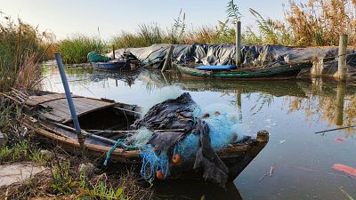 Viaje a la Albufera valenciana, la "zona cero medioambiental" de la DANA