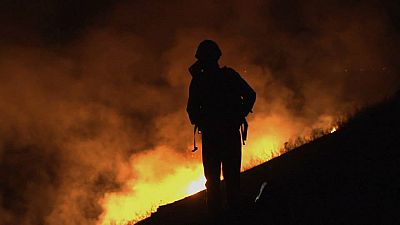 RTVE.es estrena el tráiler del documental 'La Vida En Llamas' RTVE.es estrena el tráiler del documental 'La Vida En Llamas'