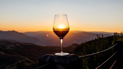 ¿Qué debe tener un vino para que sea Denominación de Origen?