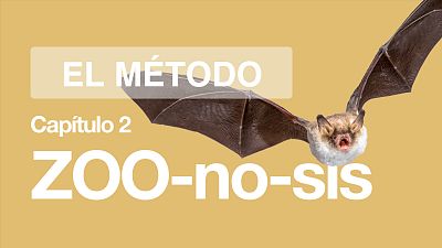 ¿Cuál es el origen del coronavirus y de las principales pandemias de la historia?