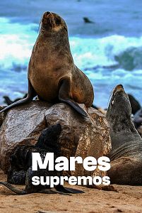 Mares supremos